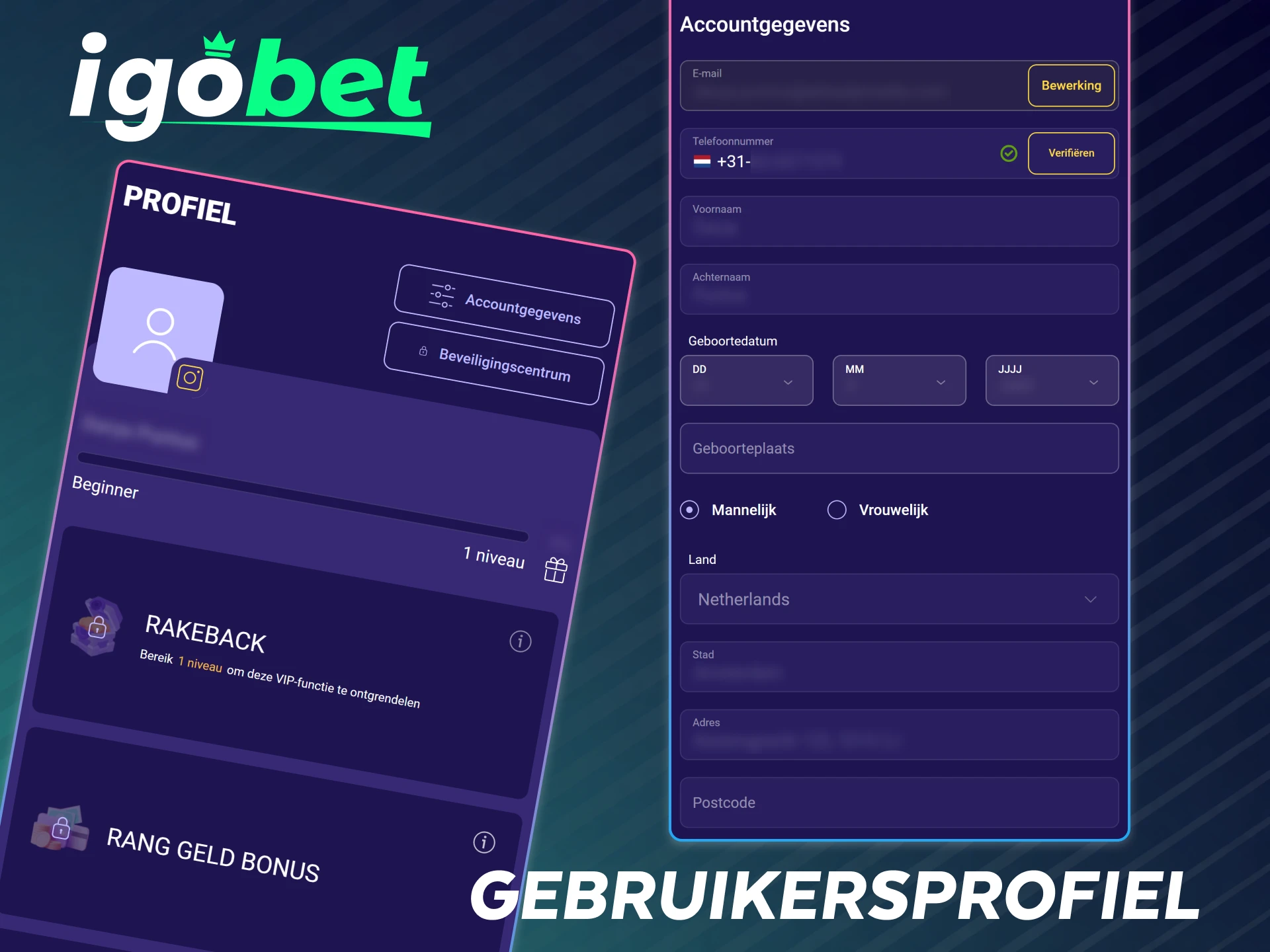 Beheer je persoonlijke instellingen en accountgegevens via de IgoBet gebruikersprofiel functies.