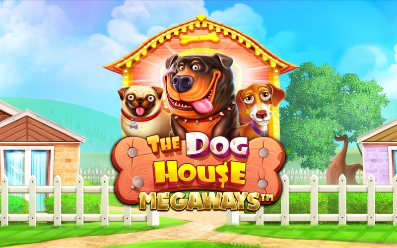 Speel The Dog House Megaways voor extra veel winkansen bij IgoBet.